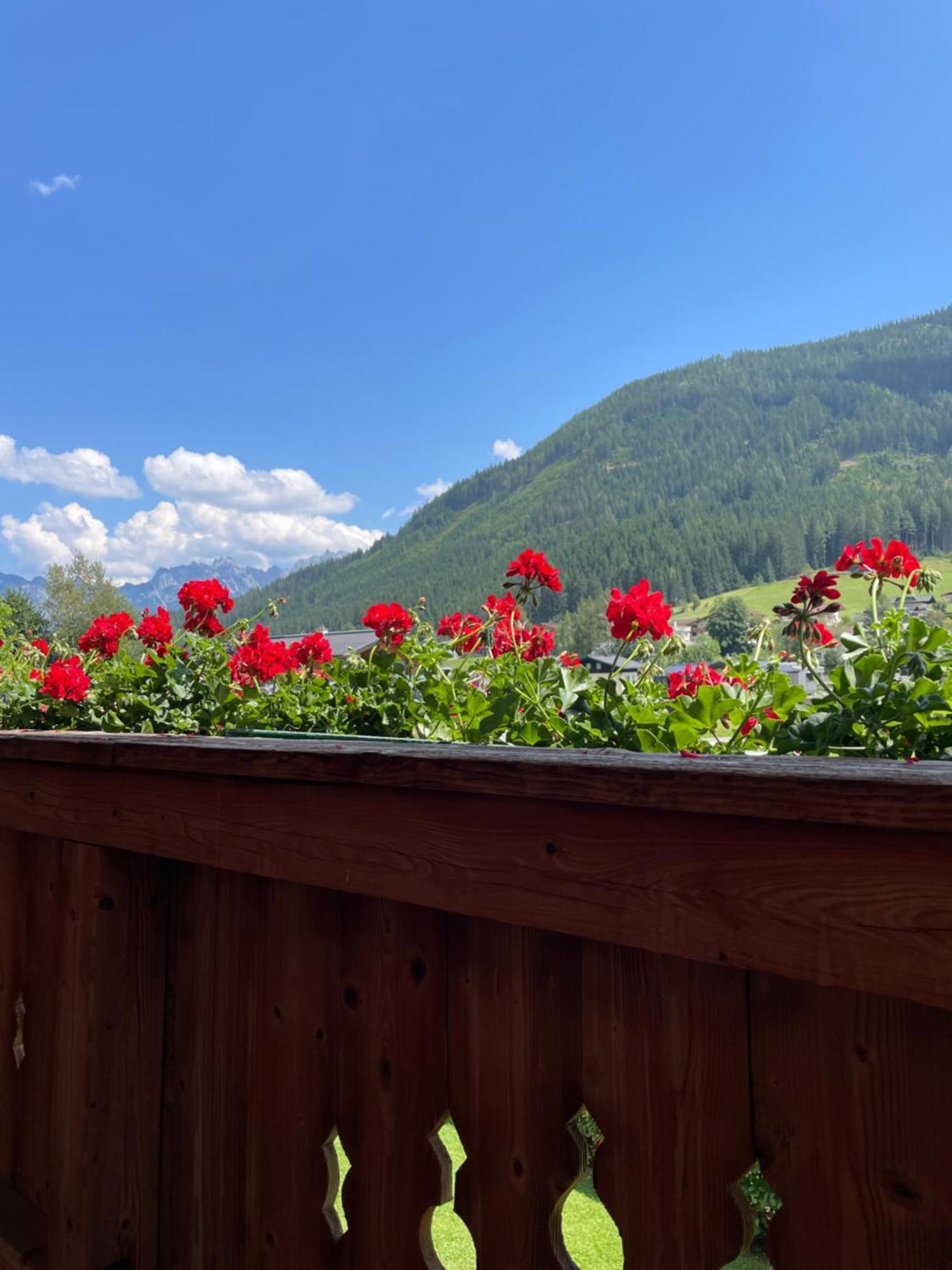 Ferienwohnung Wimmhof Sankt Martin am Tennengebirge Exterior foto